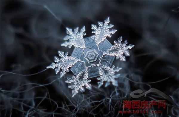 8b47f843-5e9e-4759-98f9-366dd7f872e5.jpg